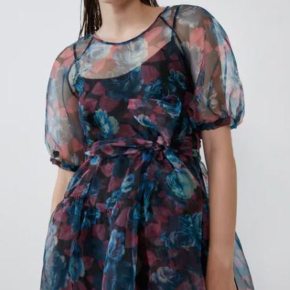 Zara Voluminous Organza Dress - Picture 1 of 8